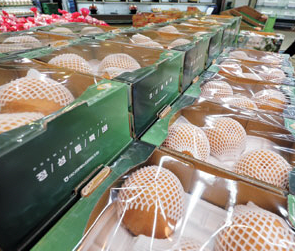 요아정 반값데이