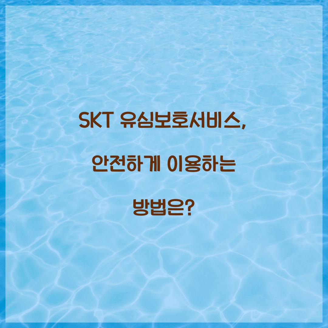 SKT 유심보호서비스
