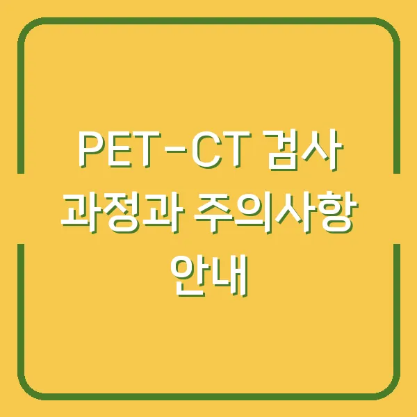 PET-CT 검사 과정과 주의사항 안내
