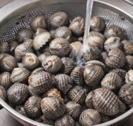 꼬막 해감 쉽게 하는 법