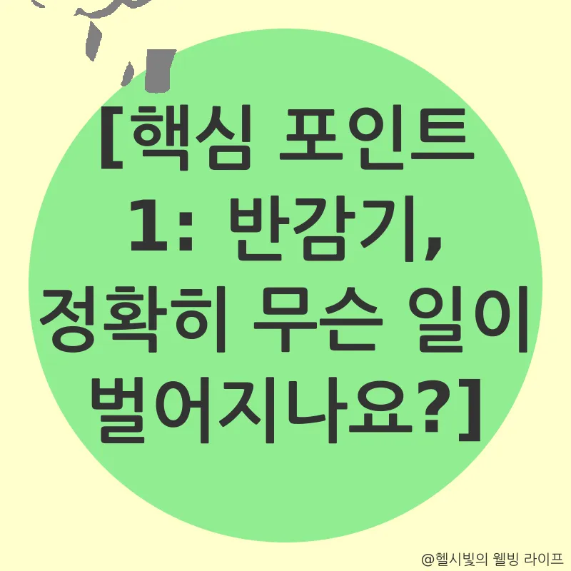 비트코인 반감기 투자 전략_1