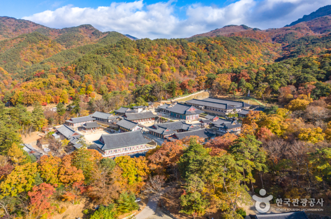 대장경태마파크