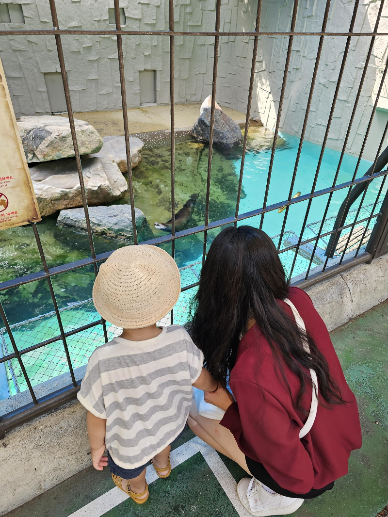 물범과 바다사자