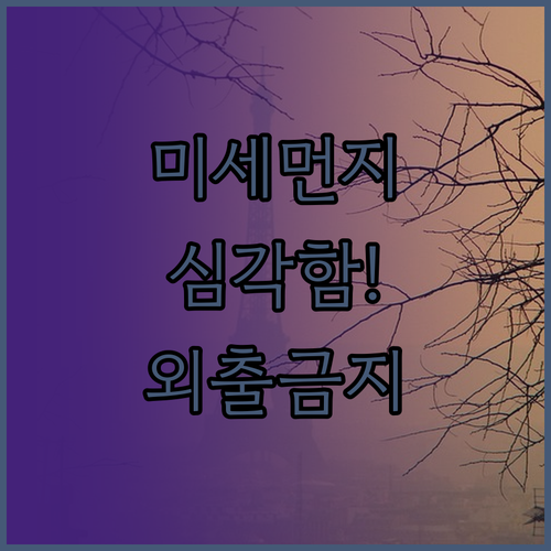 미세먼지 매우 나쁨 단계 바깥놀이 전..