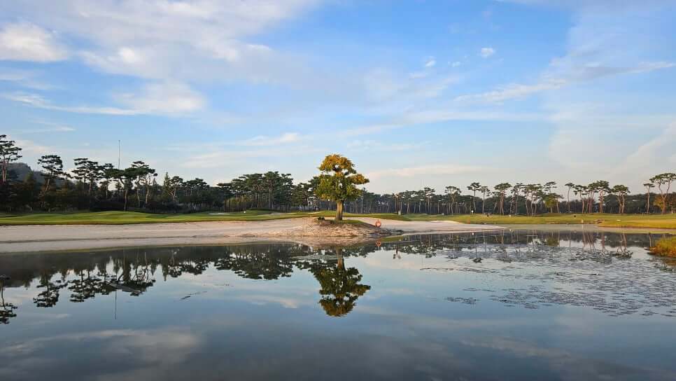 골프장 경험담 당진 파인스톤cc 대형 멋진 정원에서 환상의 골프 운동