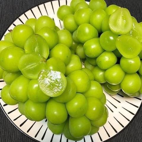 샤인머스켓 효능