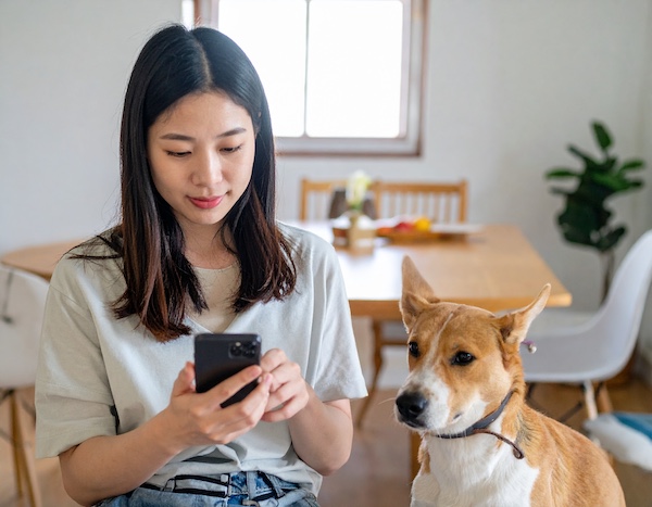 반려동물 해외여행 건강검진 및 광견병 확인서