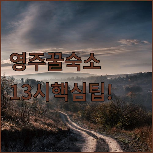 영주 숙소 추천 베스트 5 가격 위치..