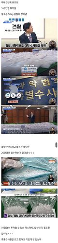 마약 수사