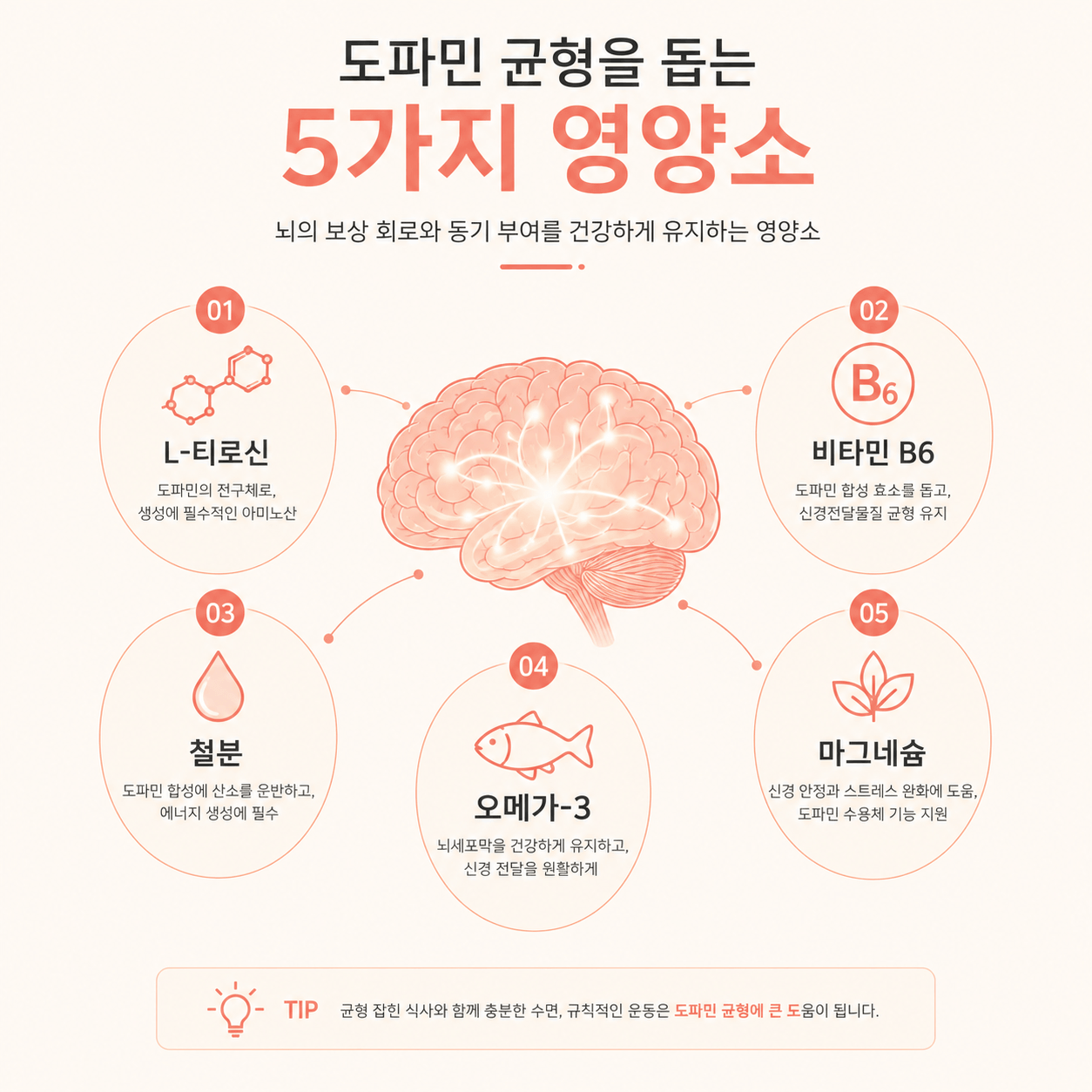 도파민 조절에 도움을 주는 영양 성분 5가지 정리 인포그래픽