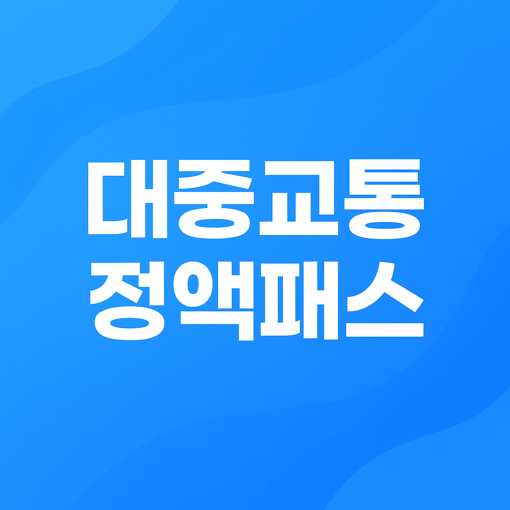 대중교통 정액패스