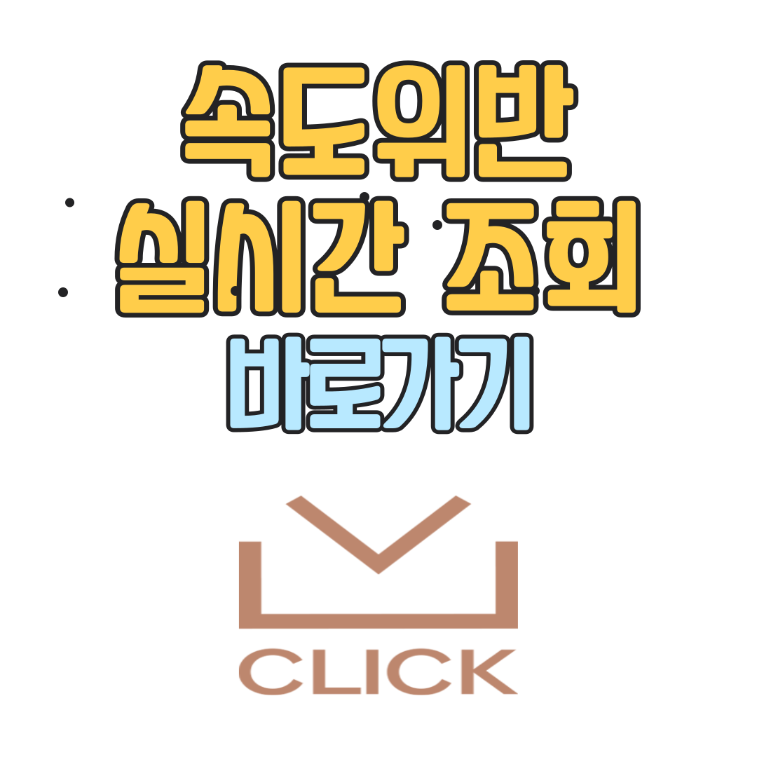 속도위반 실시간 조회