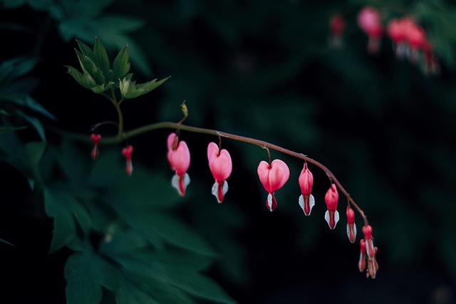 기초연금 신청방법 최신 2024 – 자격 조건부터 신청 절차까지