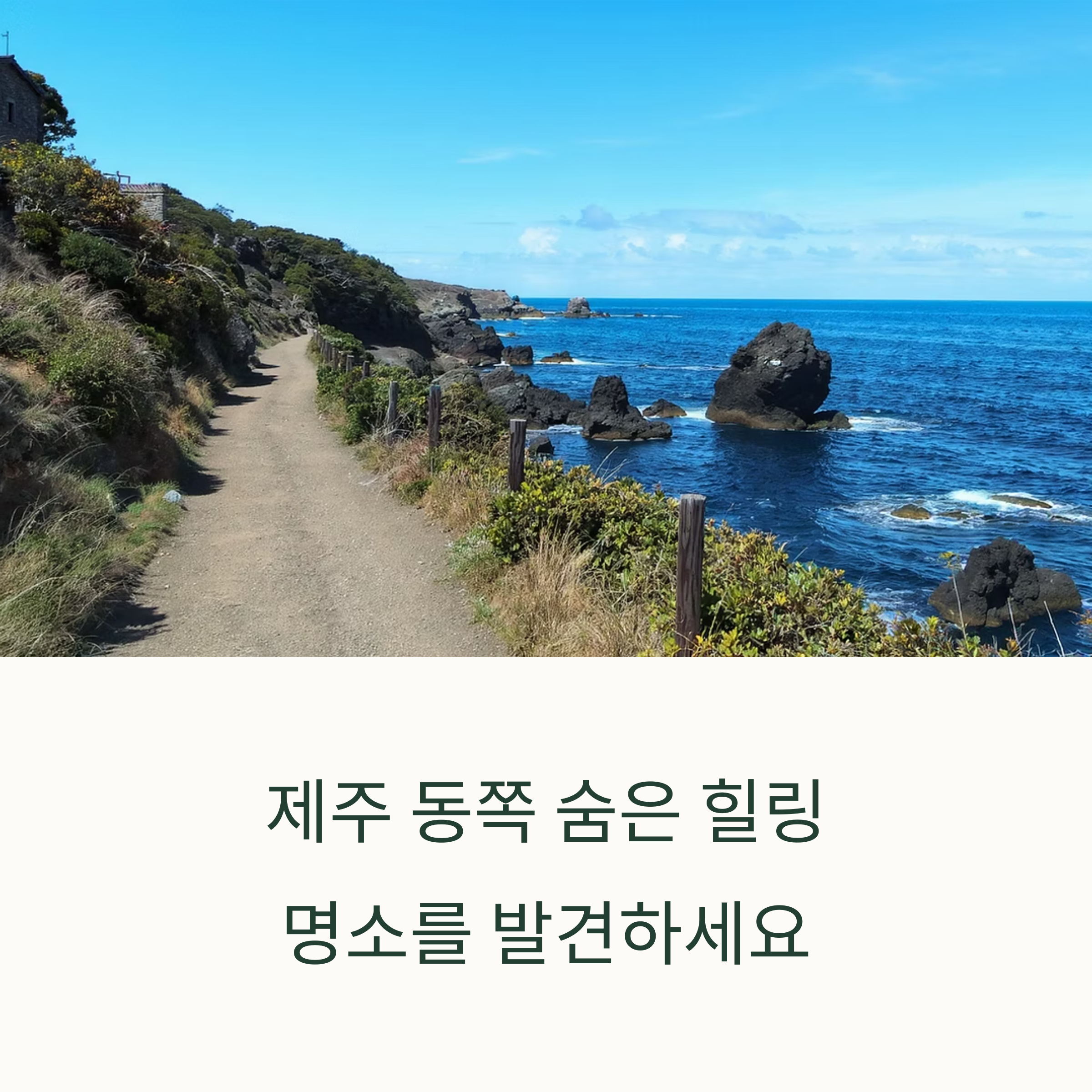 제주 동쪽 힐링 산책 코스