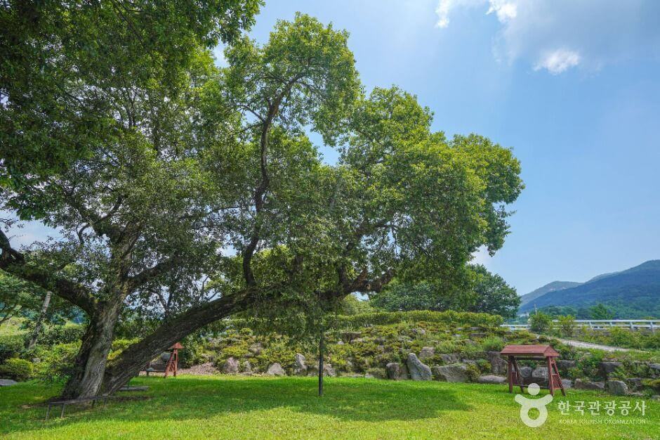 산청 가볼만한곳 베스트 10