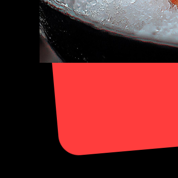 홍성남당항 대하축제