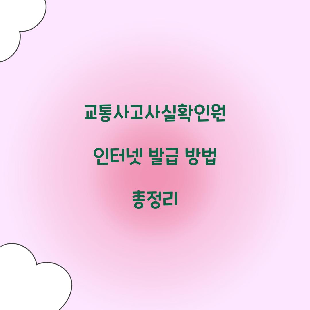 교통사고사실확인원 인터넷 발급