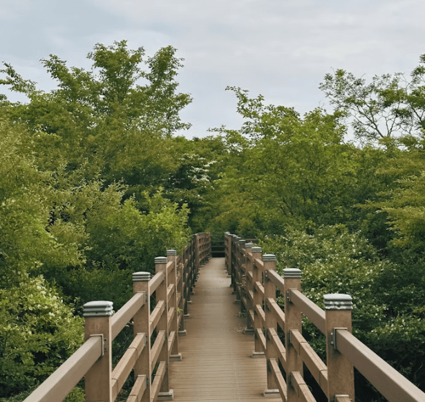 제주도 풀빌라 추천: 오션뷰부터 감성 숙소까지