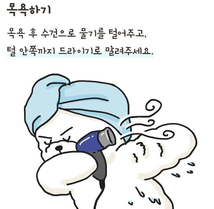 반려동물 냄새 제거 3단계