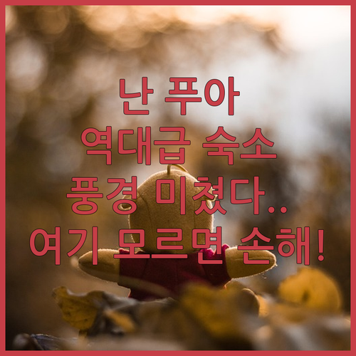 태국 난 푸아 숙소 추천 5곳 비교 ..