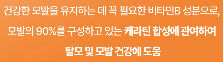 바이오틴 탈모샴푸