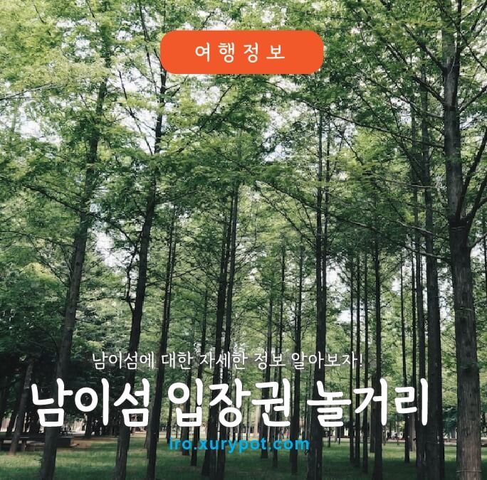 남이섬 숲