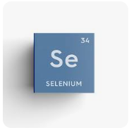 셀레늄(Selenium)1