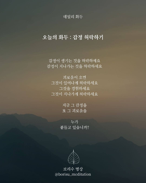 환희지의 보리수 명상 : Day 11 화두 : 감정 허락하기