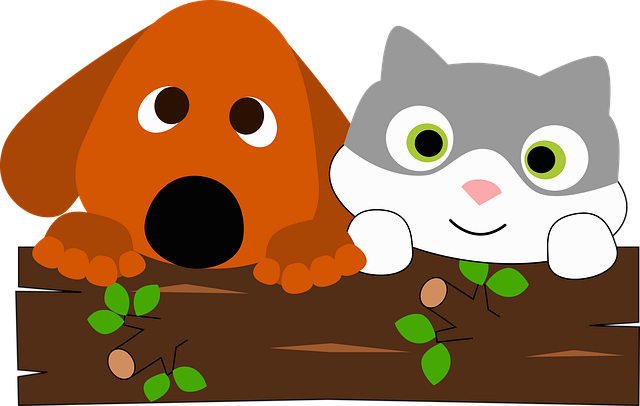 강아지와 고양이