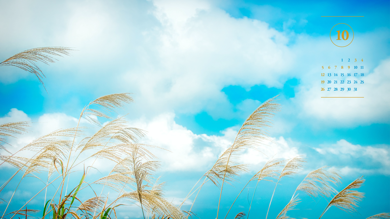 01 억새 A - 2025년10월 노트북배경화면