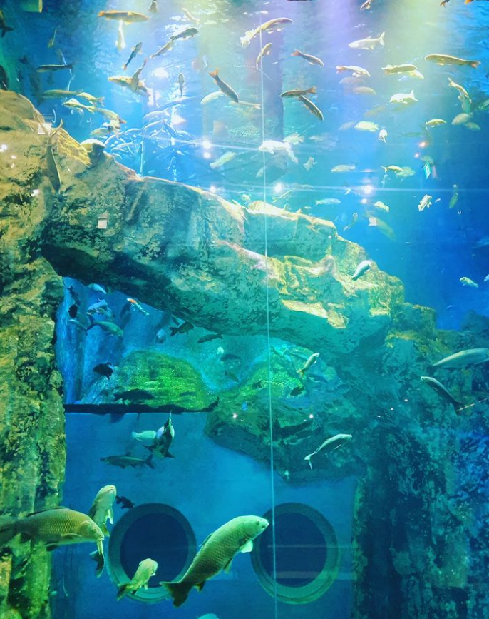 단양 가볼만한 곳