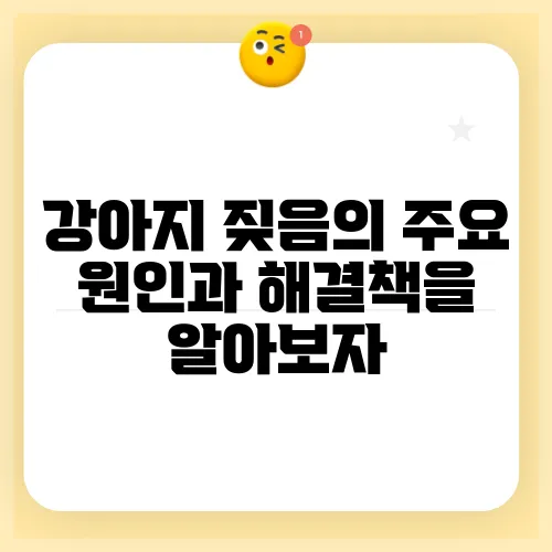 강아지 짖음의 주요 원인과 해결책을 알아보자
