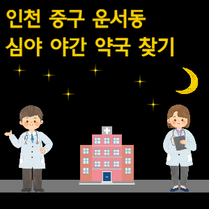 인천 중구 운서동 심야 야간 약국 찾기