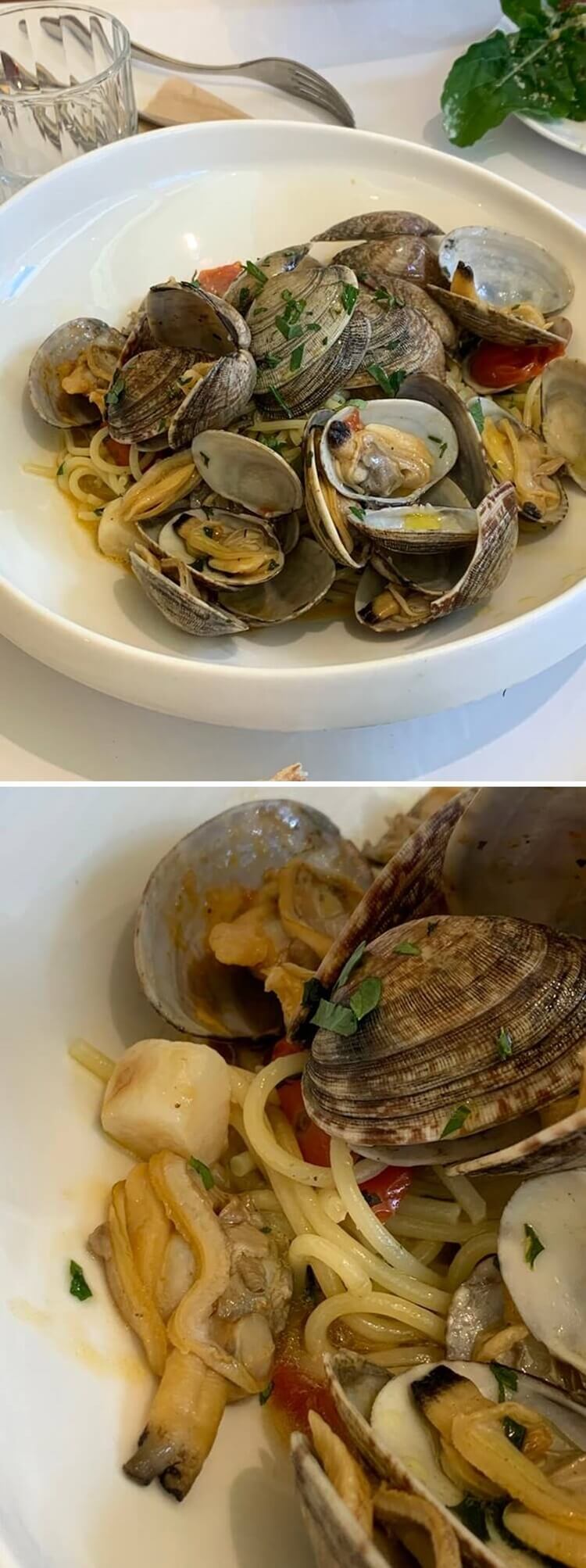 신선한 해산물 조개