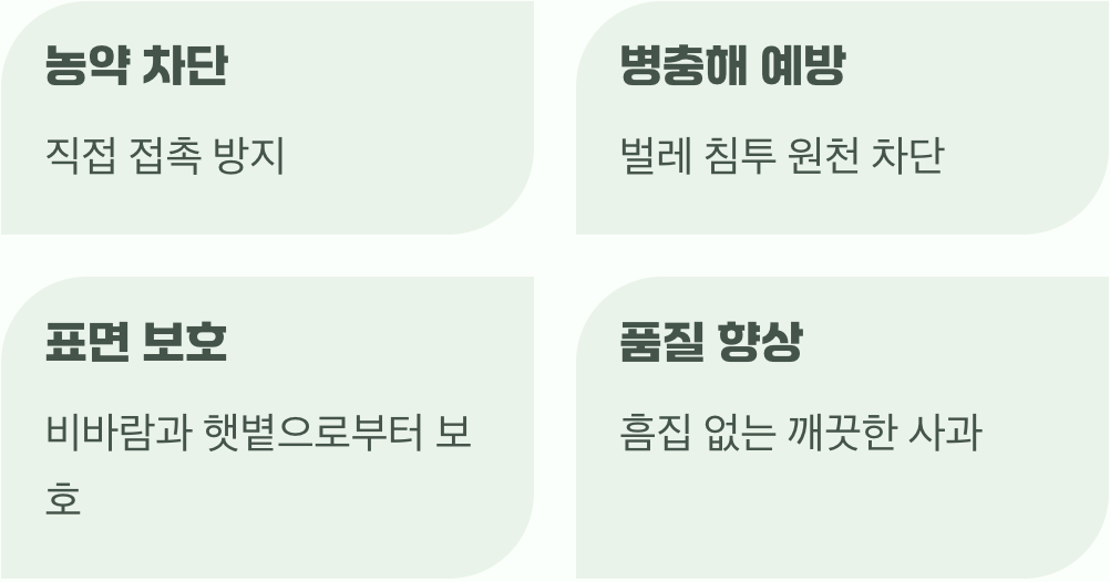 아기 사과를 위한 튼튼한 갑옷, 봉지 씌우기