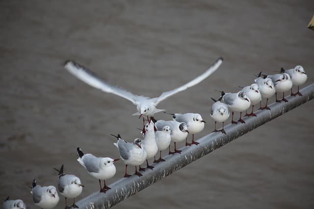 치과기공사의 노동법 이해: 근로 조건과 권리 보호