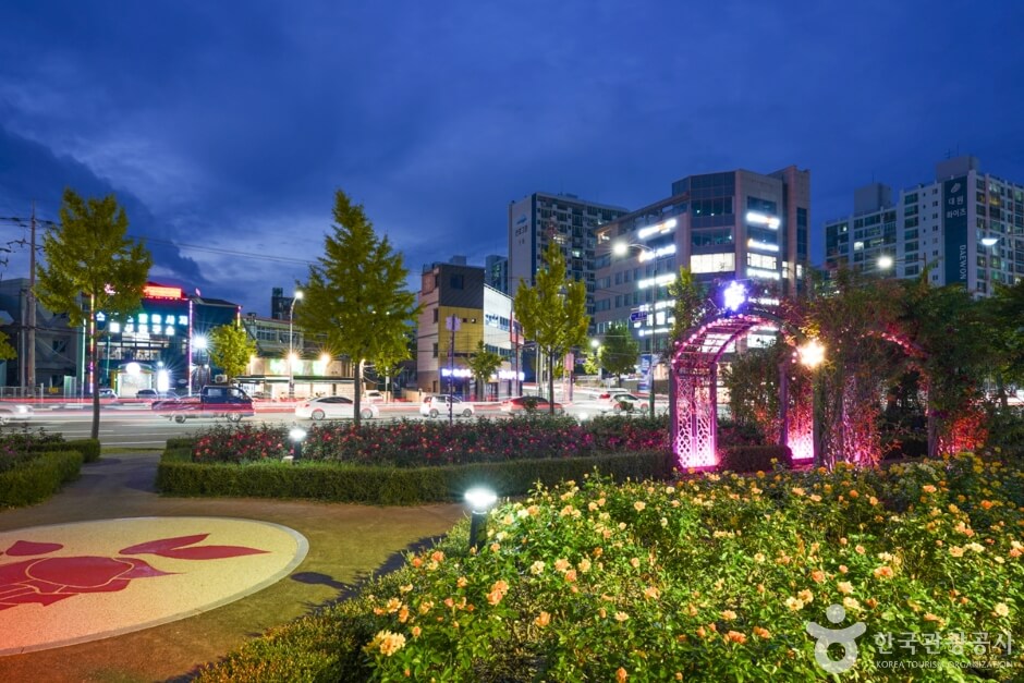 포항 영일대 장미원