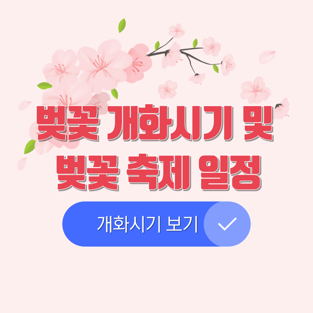 2025 벚꽃 개화시기 및 벚꽃 축제 일정 안내