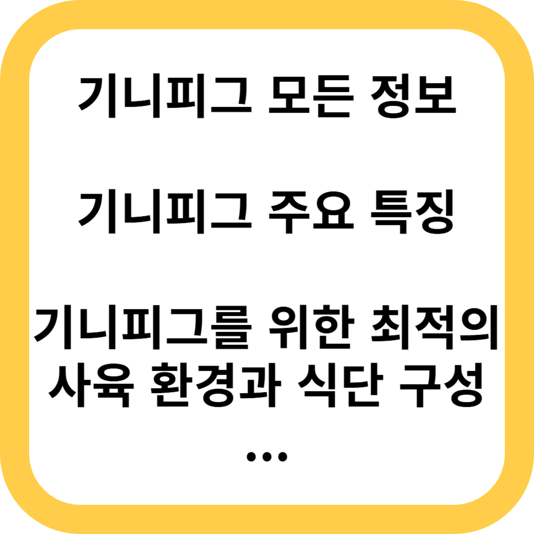 기니피그