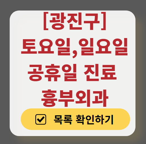 광진구 주말 토요일 일요일 흉부외과 진료 병원 목록 ❘ 공휴일 진료 영업 병원 리스트 찾기