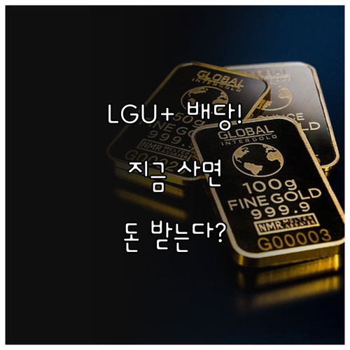 LG유플러스 배당금 지급일 및 배당락..