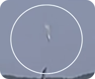 해상초계기 추락사진