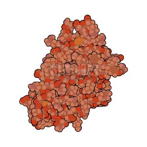 빈혈 증상 원인