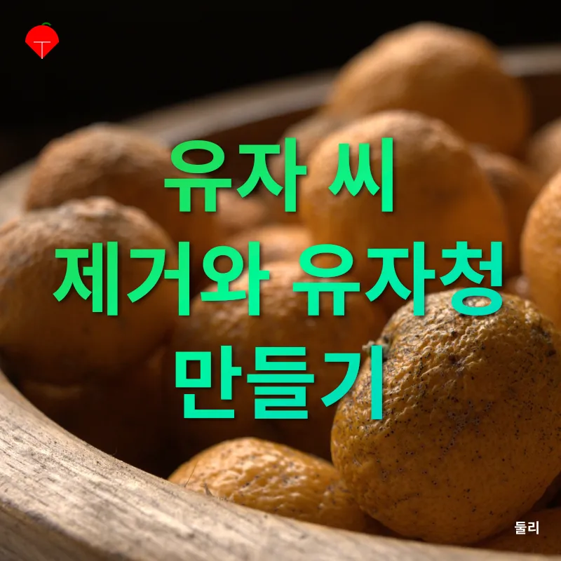 남해 유자_2