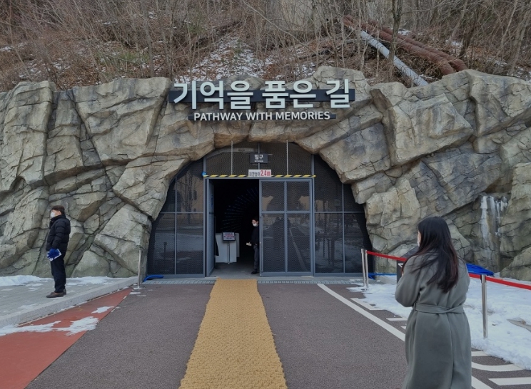태백29
