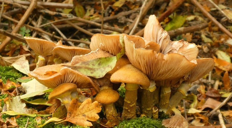 1. 공장 내부 칸막이의 필요성