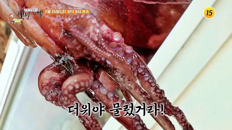 식객 허영만 백반기행 160회 김지민 편 참문어 문어숙회, 가리비 찜, 산낙지, 골뱅이 무침 맛있는 실내 포차 동해 삼척 7번국도 노포 맛집 소개