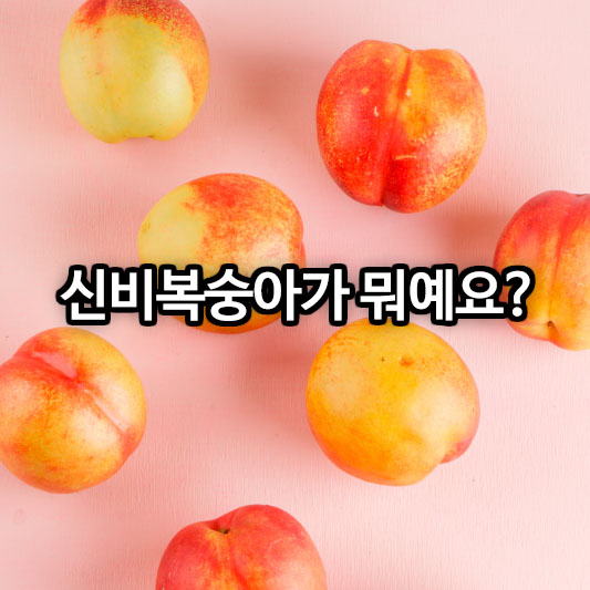 신비복숭아가 뭐예요?