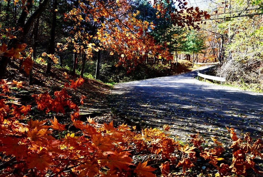 치악산자연휴양림