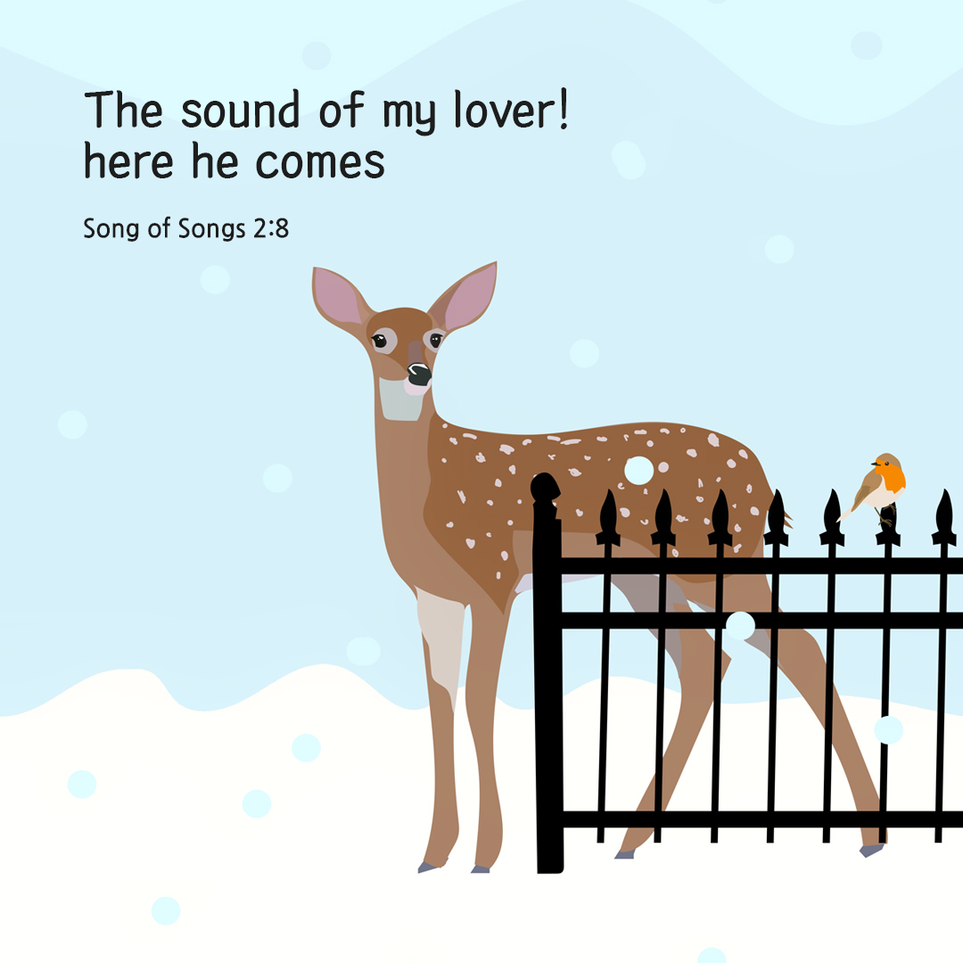 The sound of my lover! here he comes (Song of Songs 2:8)